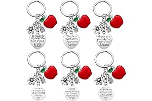 Bulk Teacher Appreciation Gifts for Women Valentine's Day Christmas Gift
