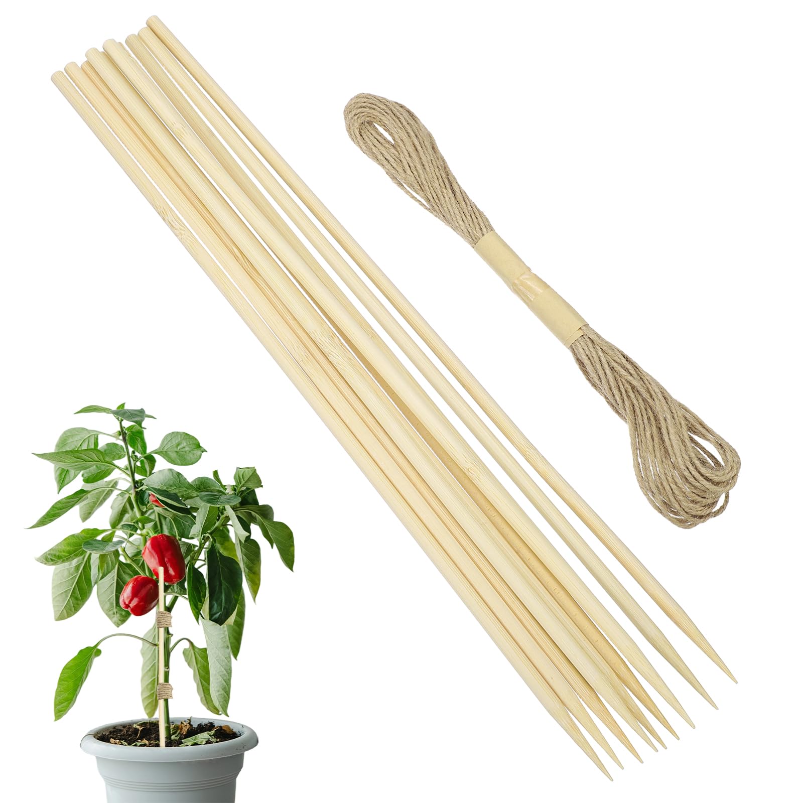 sourcing map 10Pcs Garden Wood Plant Stakes, 11.81" Gardening Bamboo Sticks, Floral Plant Support Stakes with 32.8ft Rope for Indoor Potted Plants, Natural Color