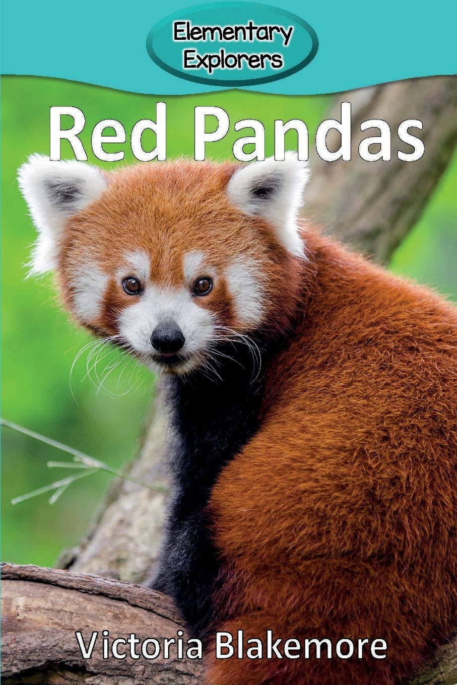 Red Pandas: 20 (Elementary Explorers)