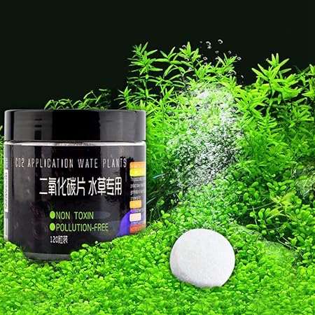 Amazon Azoo アズー 水草用co2タブレット ノーブランド品 水質テスト 管理用品 通販