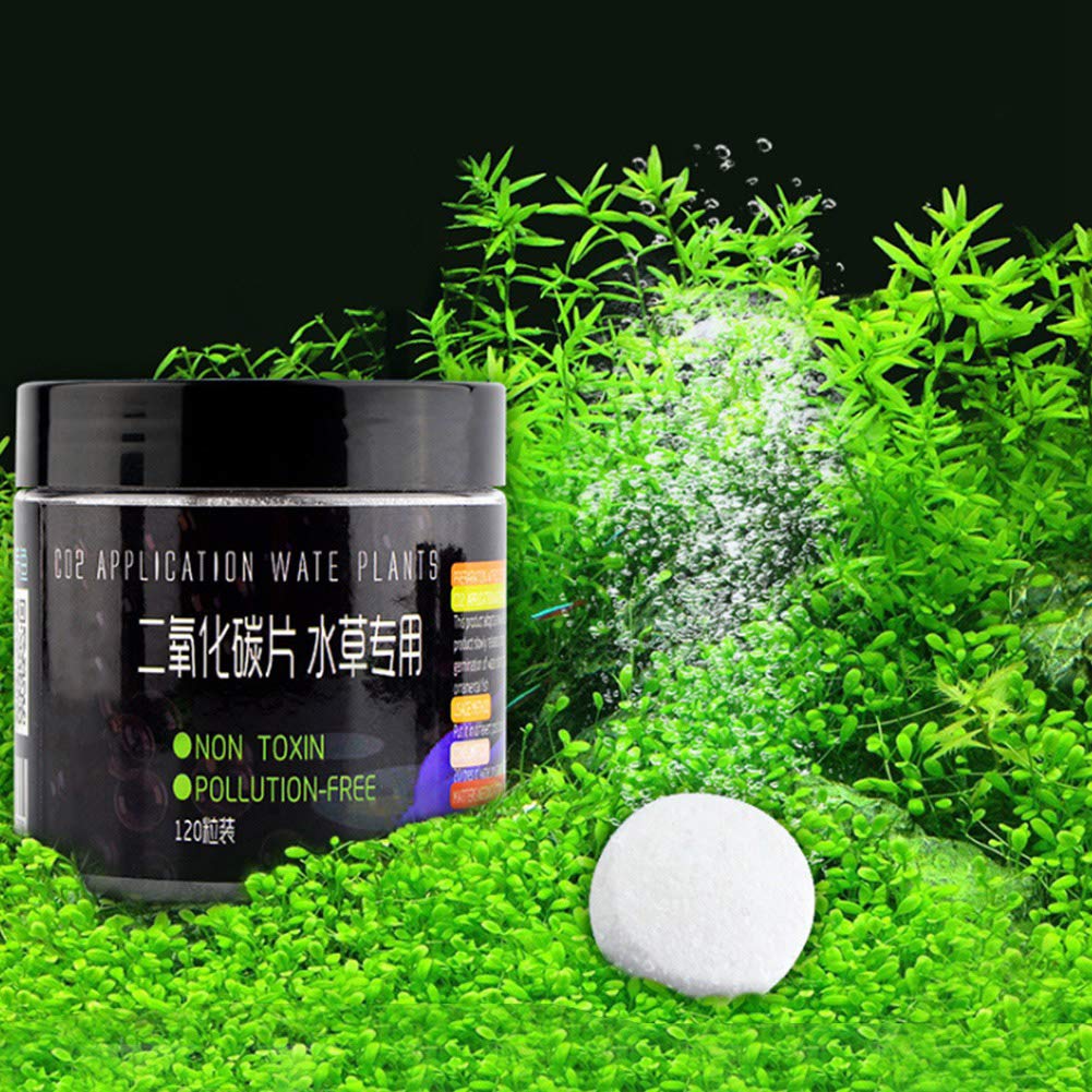 Amazon Com Cerlingwee Co2 Tablet Good Performance Reliable Quality For Home Pet Supplies