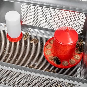 Premier 1 QuikClean Chick Brooder Hinged Lid & Removable Collection Tray