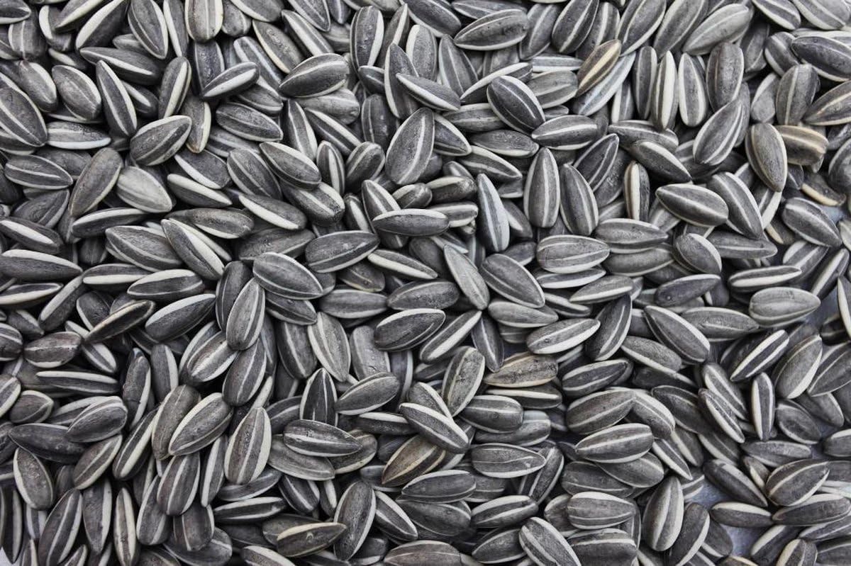 Graines de tournesol rayées 20 kg pour oiseaux