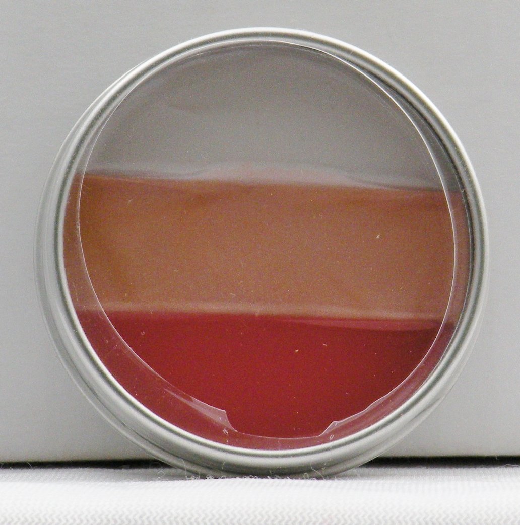 Mary-Kate Ashley Lip Gloss - Rose Petal 70744