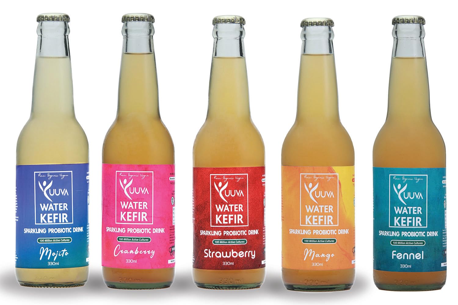 YUUVA Water Kefir Sparkling Probiotic Drink Mango, Mojito, Strawberry, Cranberry and Fennel all 5 Flavours Refreshing Drink 330 ML (Pack of 5) (B0CP3HZZXG) Amazon Price History, Amazon Price Tracker