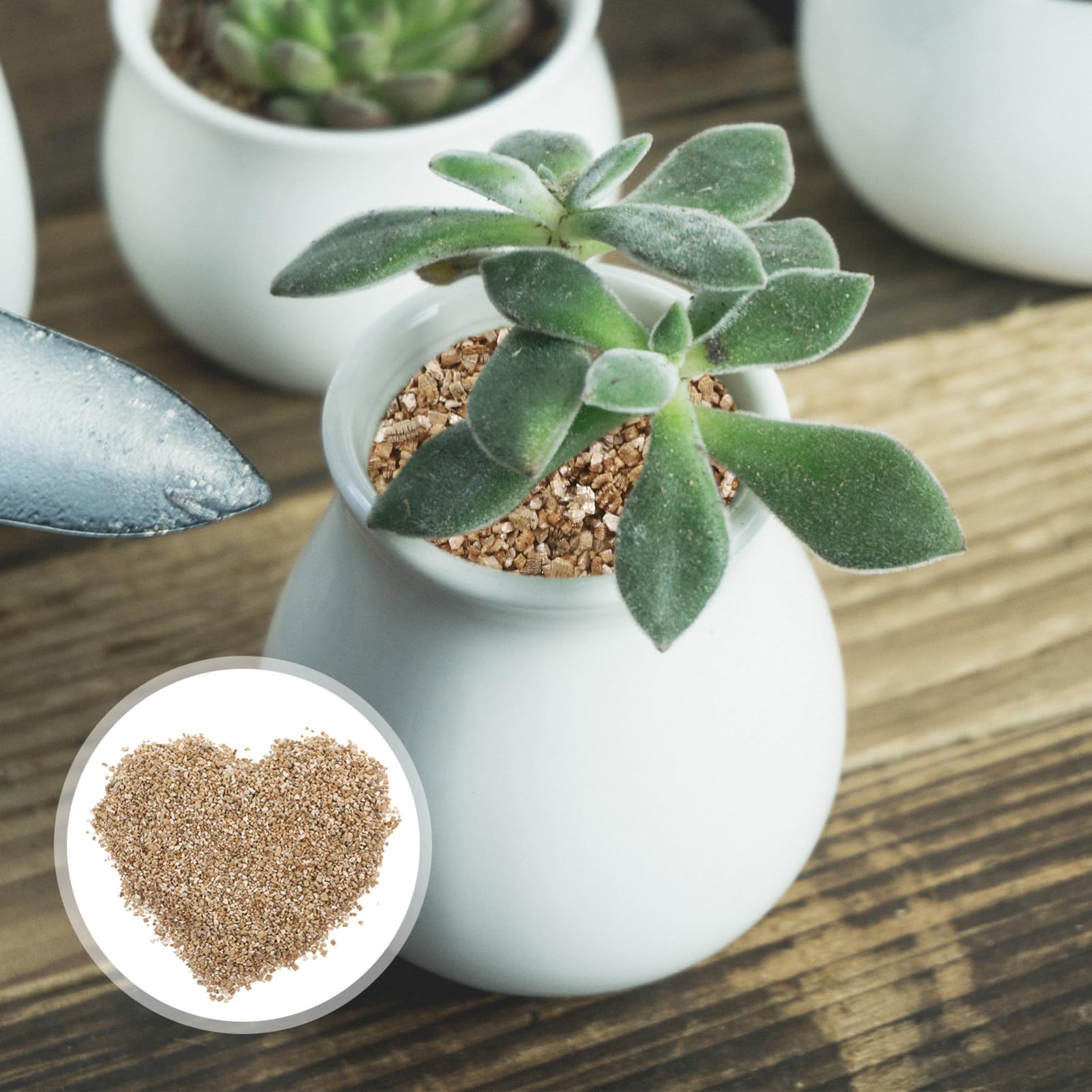 Toyvian Vermiculite Fine Expansée Pour Plantes Et Champignons, Substrat Neutre Ph 3l, Rétention D’humidité Optimale Pour Germination En Jardinage Et Terrariums