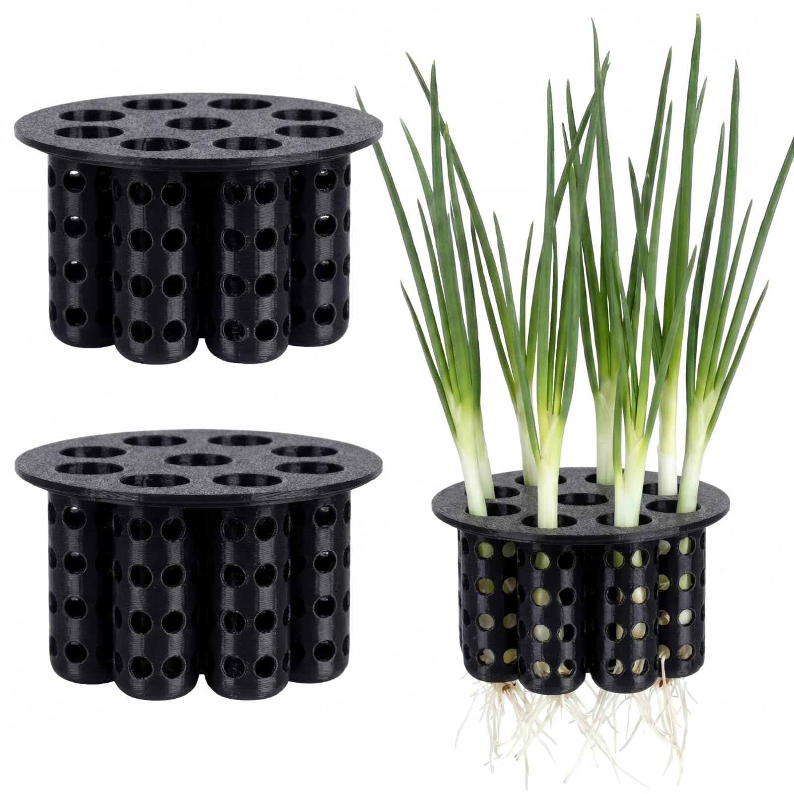 Kit per germogliare i semi di cipolla verde, compatibile con barattoli di vetro a bocca regolare, per davanzale da giardino, coltura idroponica e appassionati di propagazione idroponica (2, bianco)
