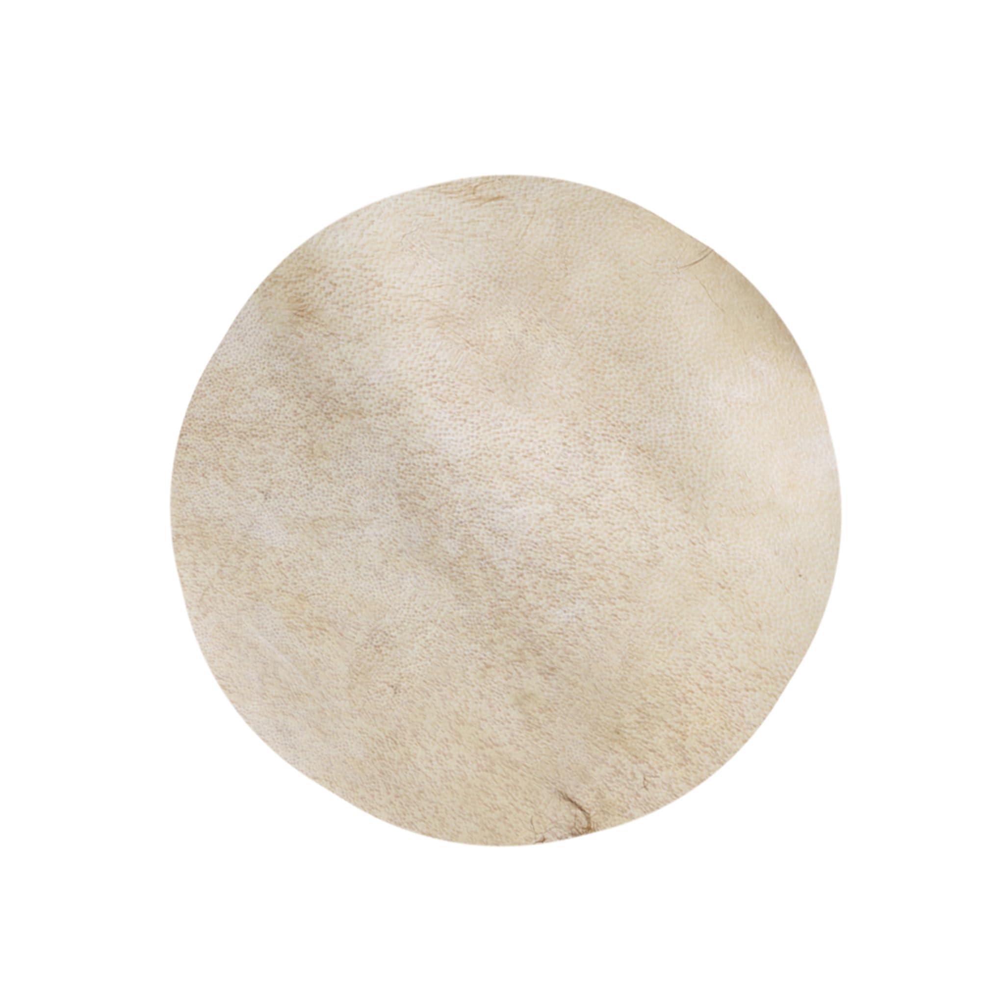 Lot de 2 Tambourins Professionnels 8" pour Percussion Diamètre 300mm