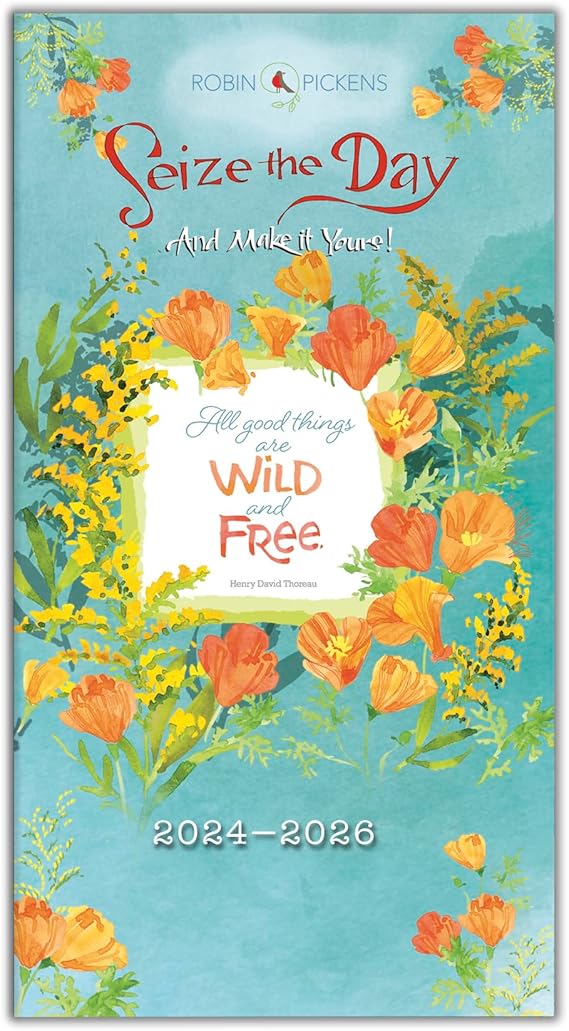 2025 Pocket Planner TwoYearPlus Monthly Pocket Calendar