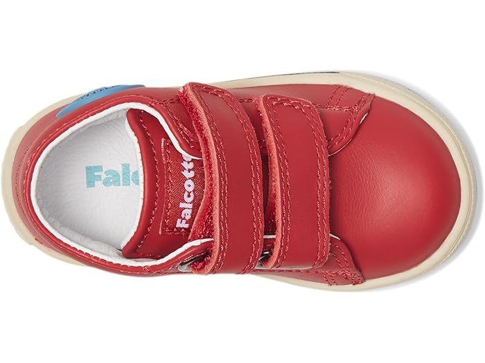 Falcotto Michael 3. (Toodler) - Image 1