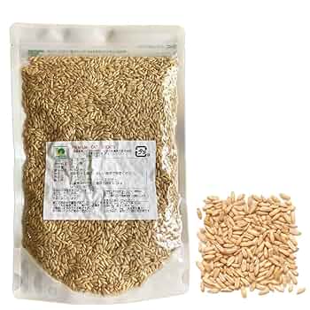 おーとむぎ♪ 紛失】ZX25Rオーナートム…観光地で浮かれて油断し絶望する