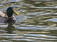 Review Image by Jessica Jessica