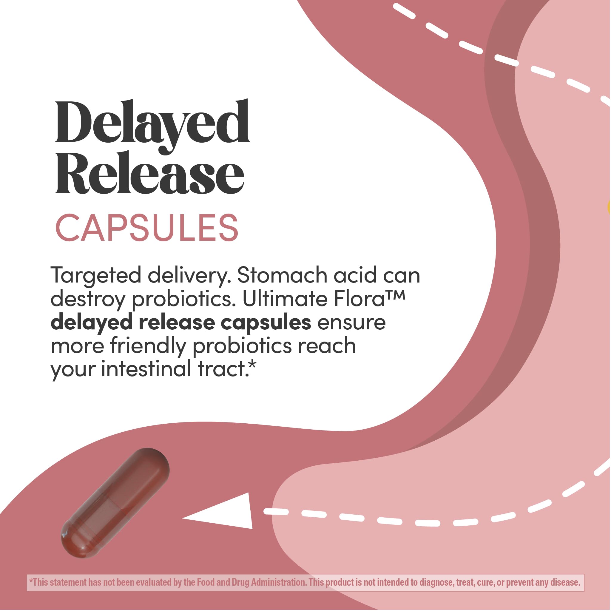 Renew Life Ultimate Flora Vaginal Probiotics for Women 6 Billion CFU — Amazon image 5