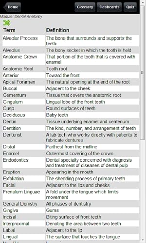 1000 Dental Flashcards & Quiz (Ad-Free)
