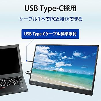 IODATA モバイルモニター 17.3インチ フル HD EX-YC171D Amazon.co.jp: 【セット買い】IODATA モバイルモニター 17.3インチ EX