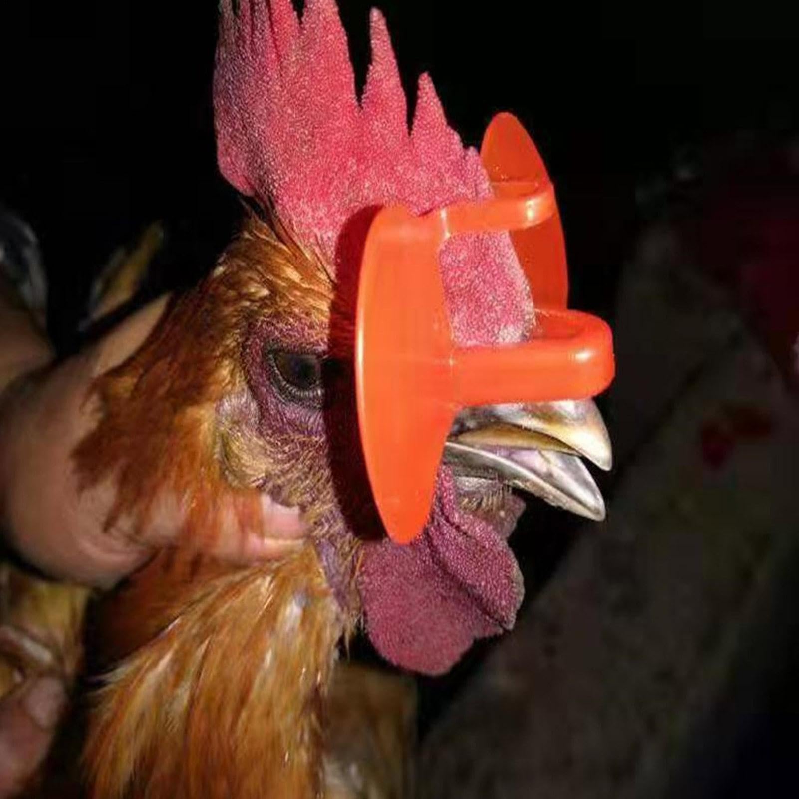 Anti-Peck-Blinders für Huhn – Fasan-Anti-Kampfbrille – Hühnerbrille Geflügel-Blinder-Brille mit Zangen-Set für Fasan-Hahn