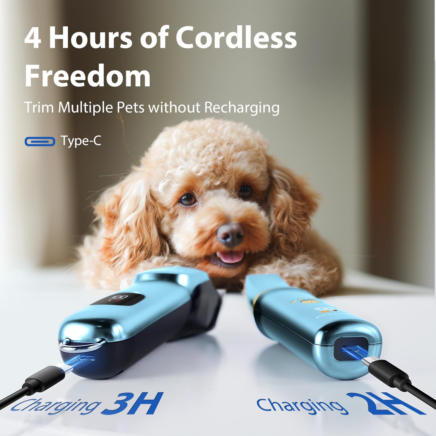 Hundeschermaschine 3 in1 Set,Schermaschine Hund Haarschneidemaschine für Dichtes Verfilztem Fell,Hunderasierer und Pfotentrimmer für Hunde und Katzen,Blau Professionelles