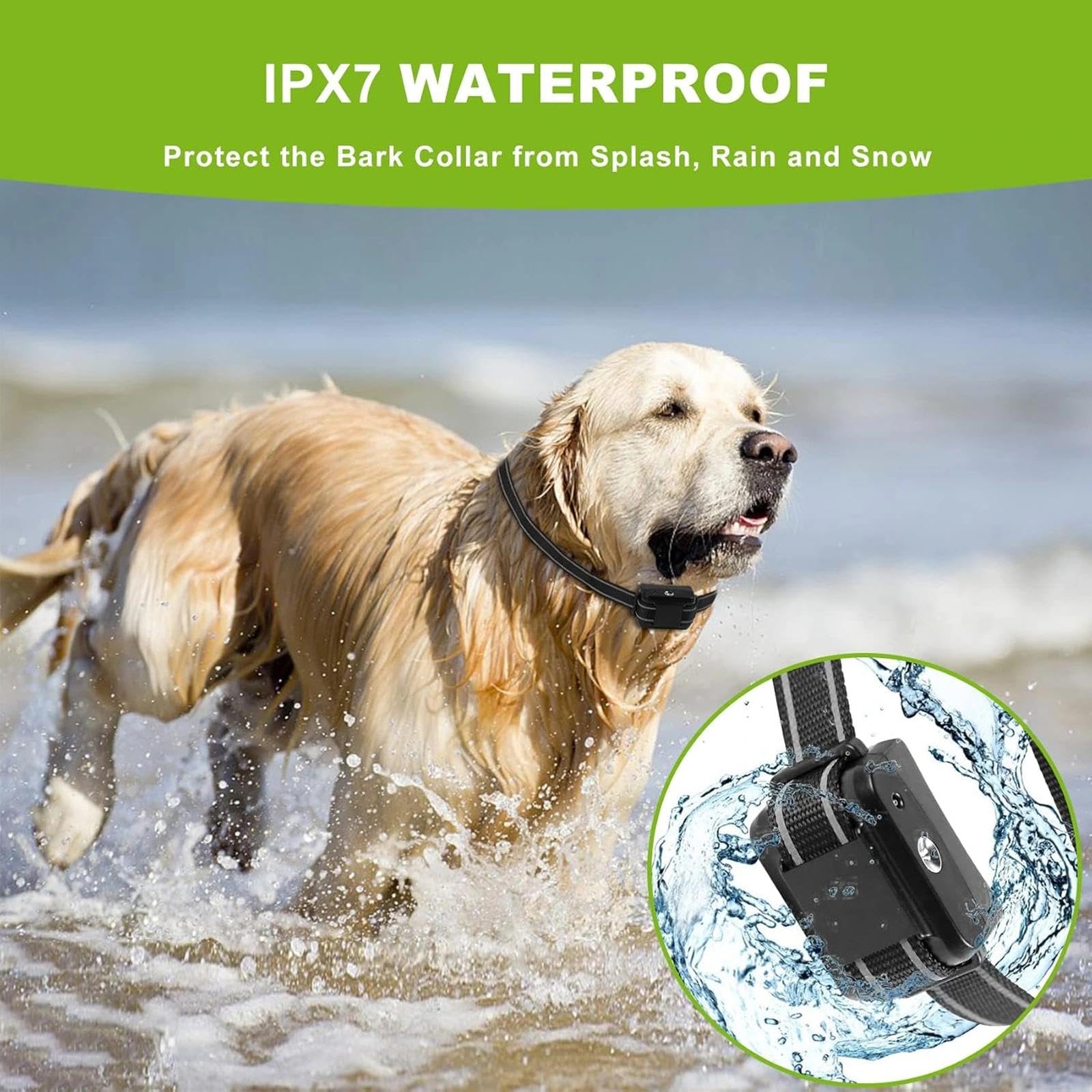 Collier lumineux pour chien (design à double sangle), luminosité réglable, collier pour chien rechargeable (noir)