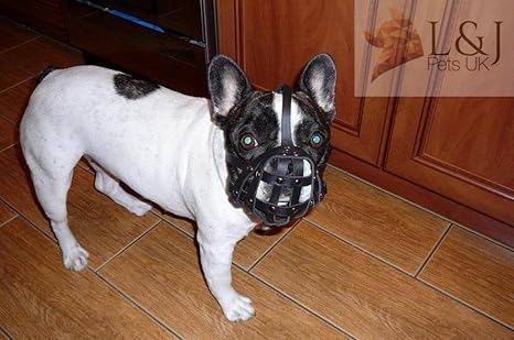 bulldog muzzle amazon