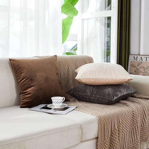 Miniatura 3 de Sunday Praise Juego de 2 fundas de almohada de terciopelo suave y grueso de 18 x 18 pulgadas, fundas de cojín cuadradas decorativas sólidas para