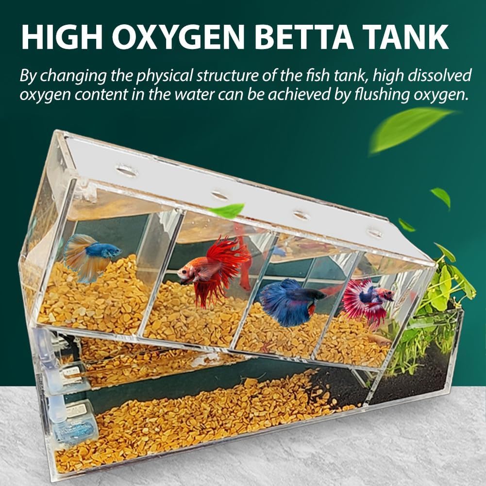Set per Principianti Acquario/Acquario Betta, Inclusi 4 Scomparti Individuali per Pesci Betta, Filtro,Moderno Acquario per Pesci Rossi in Acrilico Trasparente Fai-da-Te,Elegante Acquario