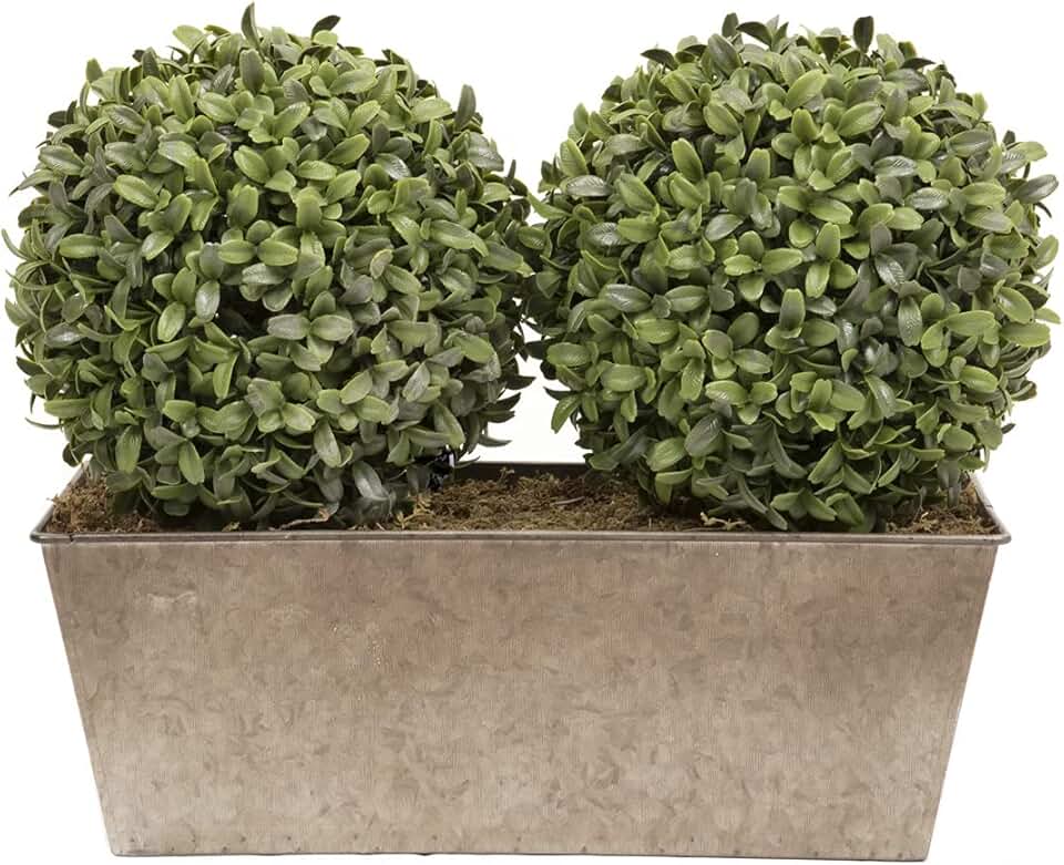 Amazon.co.uk artificial box balls