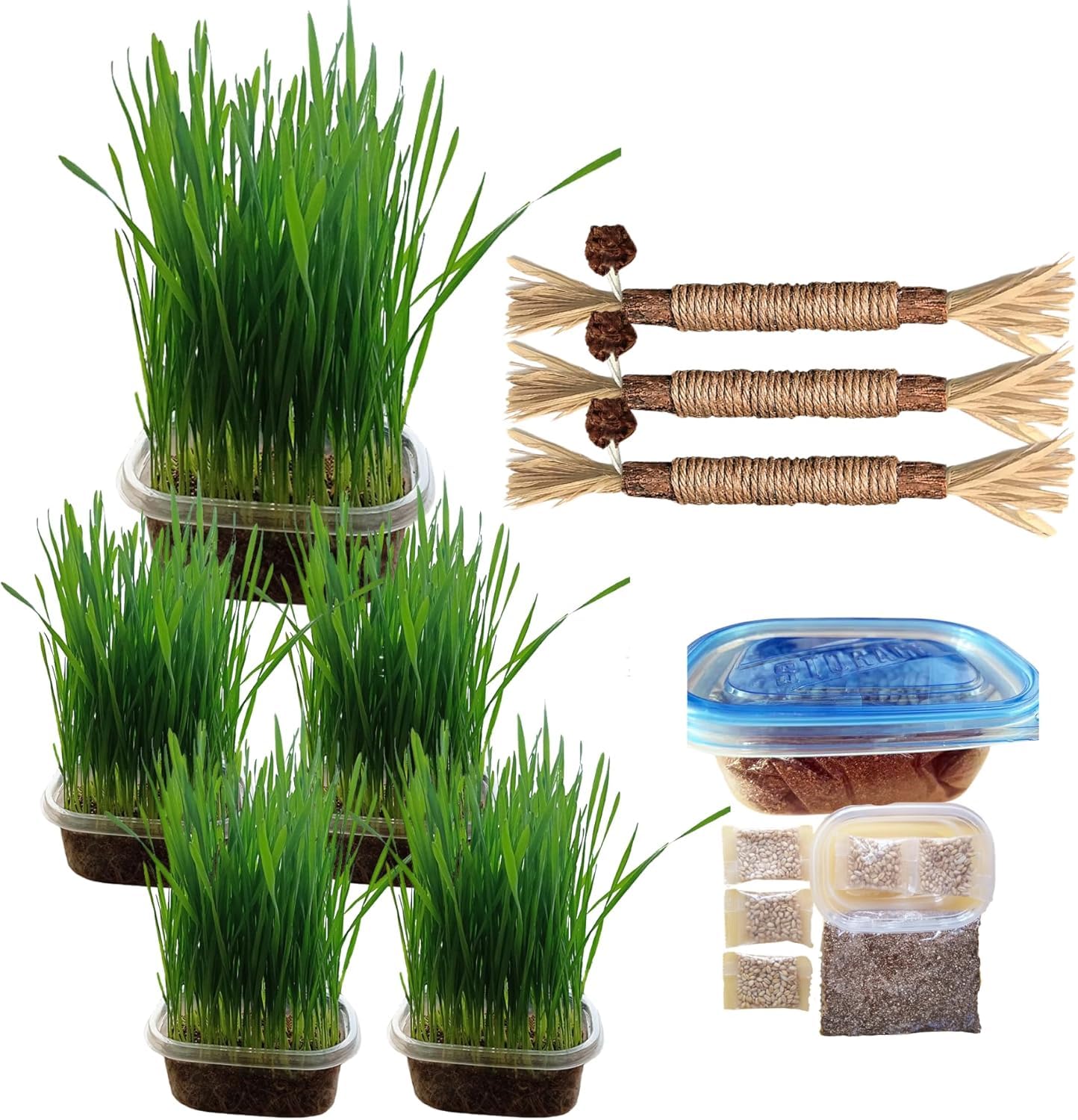 TheGuard Cat Grass Seeds 6 (Grow at Home Kit) & Soft Cuddly Pickle-Pea Squeak Plush Catnip for Teeth Cleaning (Natural Delicacy)