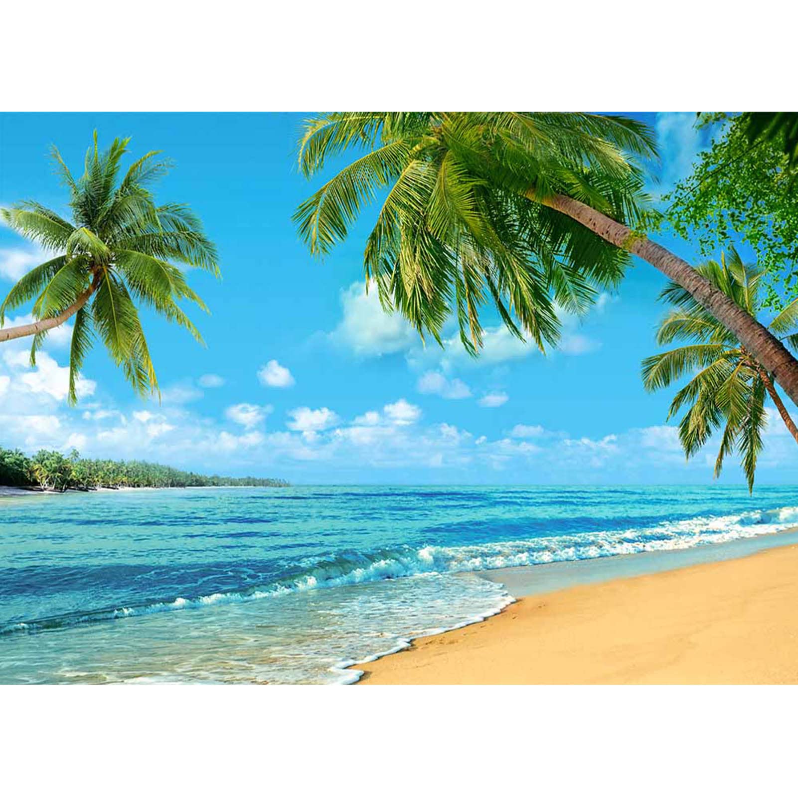 Amazon | 9x6フィート 夏 ヤシの木 写真背景 熱帯 夏 ビーチ 海 背景