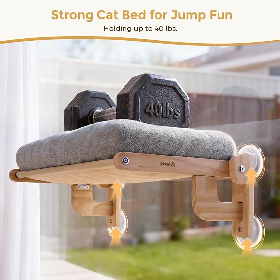 Pecute Cat Window Hammock Foldable, Cat Bed with Soft Cushion Grey, 26 L