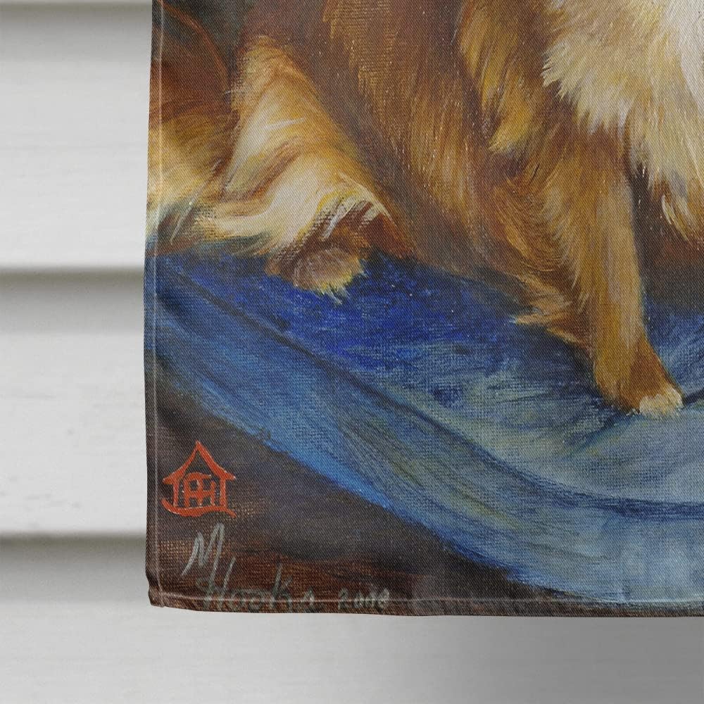 Caroline's Treasures MH1036CHF Chihuahua Long Hair Brown House Flag Large Porch Sleeve Pole Decorative Outside Yard Banner Artwork Wall Hanging, Polyester, House Size, Multicolor