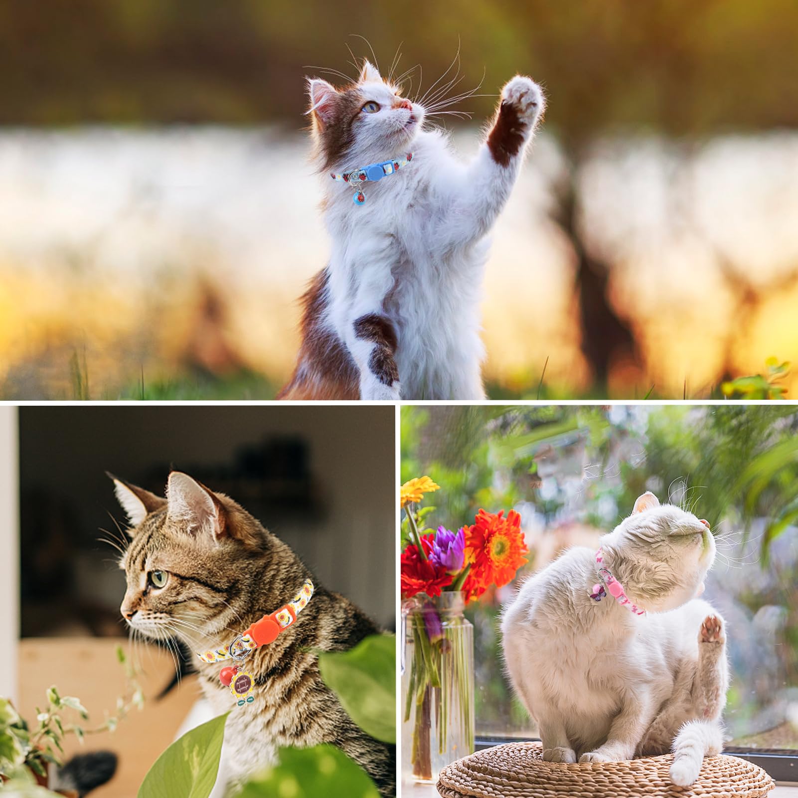 SCENEREAL Collier pour chat avec clochettes, boucle de sécurité douce et réglable pour le printemps, l'été, le quotidien, collier personnalisé pour chaton chiot rose