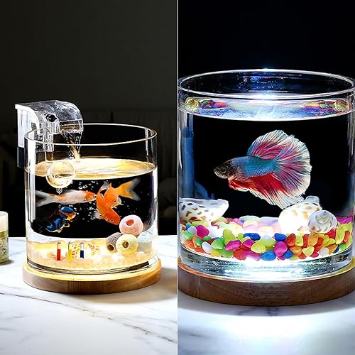 Miniatura 7 de SANOSY Kits de inicio de acuario Tanque de peces de 0.81 galones (6 pulgadas) para principiantes Cilíndrico Betta Fish Bowl con base de madera