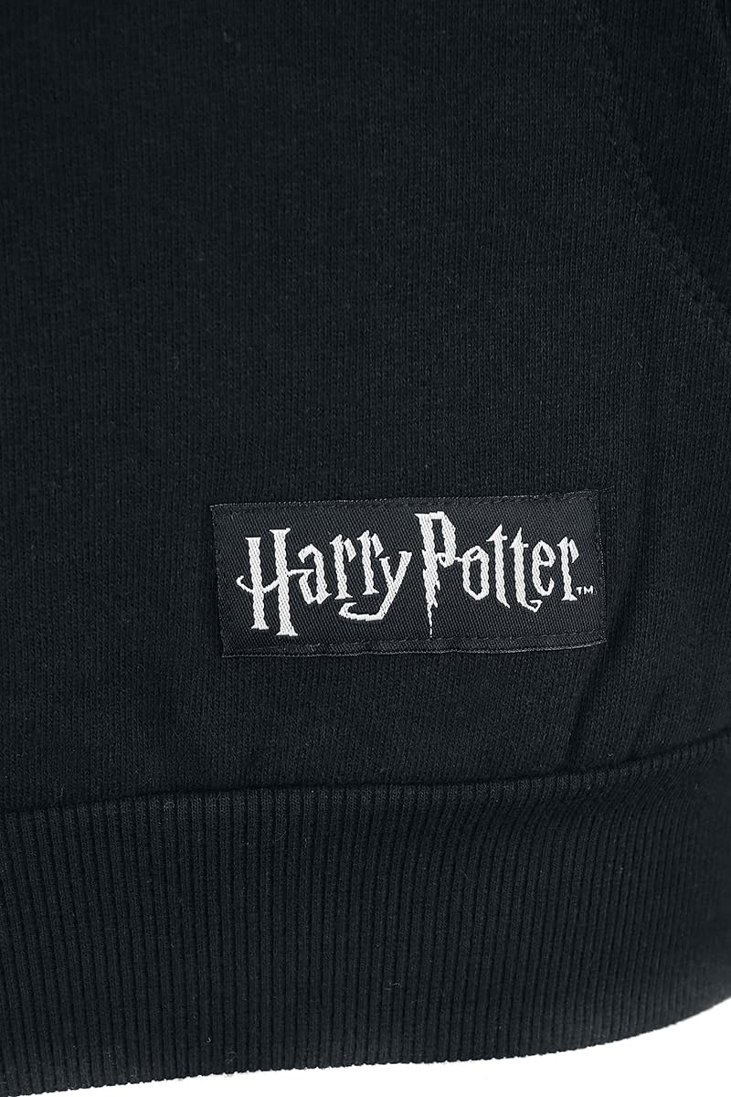 Harry Potter Slytherin Männer Kapuzenpullover schwarz
