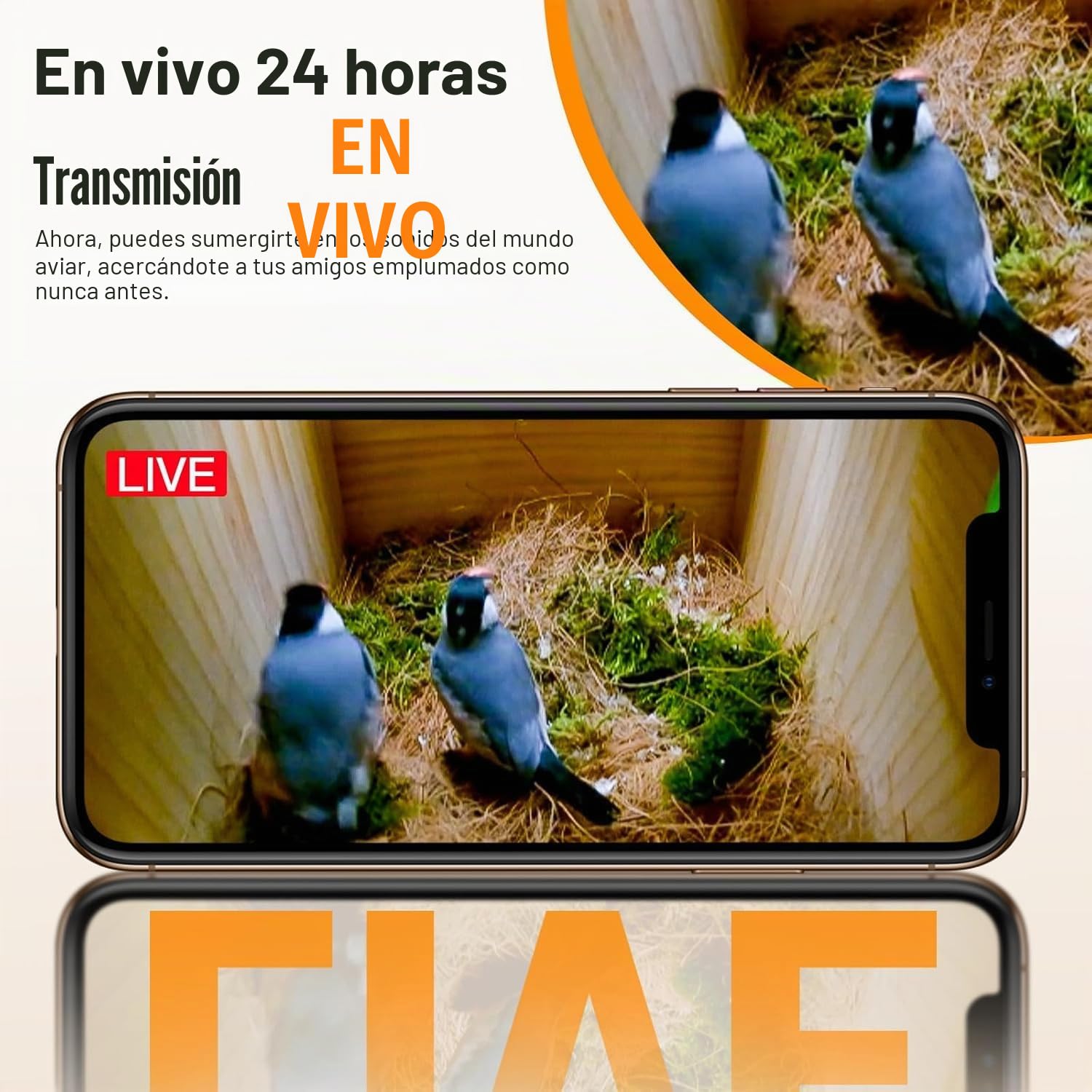 Casas para Pájaros con Cámara HD de 4MP, Caja de Pájaros Resistente a la Intemperie, WiFi de 2.4G y Notificación por Aplicación, Observa el Anidamiento y la Eclosión, Grabación Automática de Videos, A