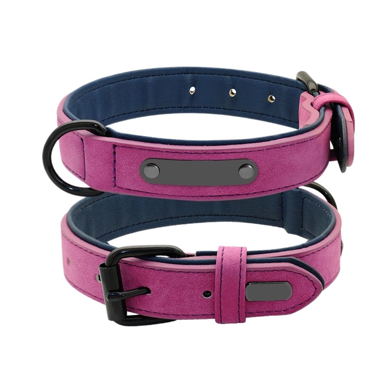 Collier de chien avec laisse pour la promenade quotidienne des chiens