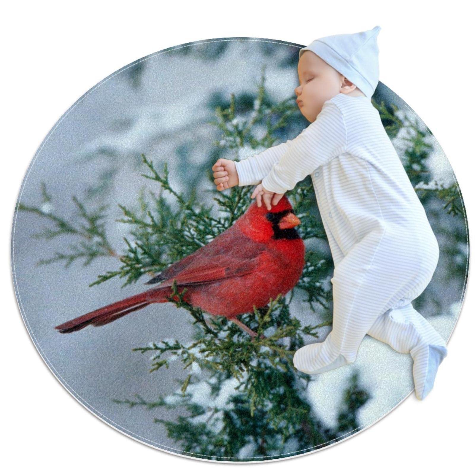 Tapis rond oiseaux moderne de 31.5 PO contre les sols froids