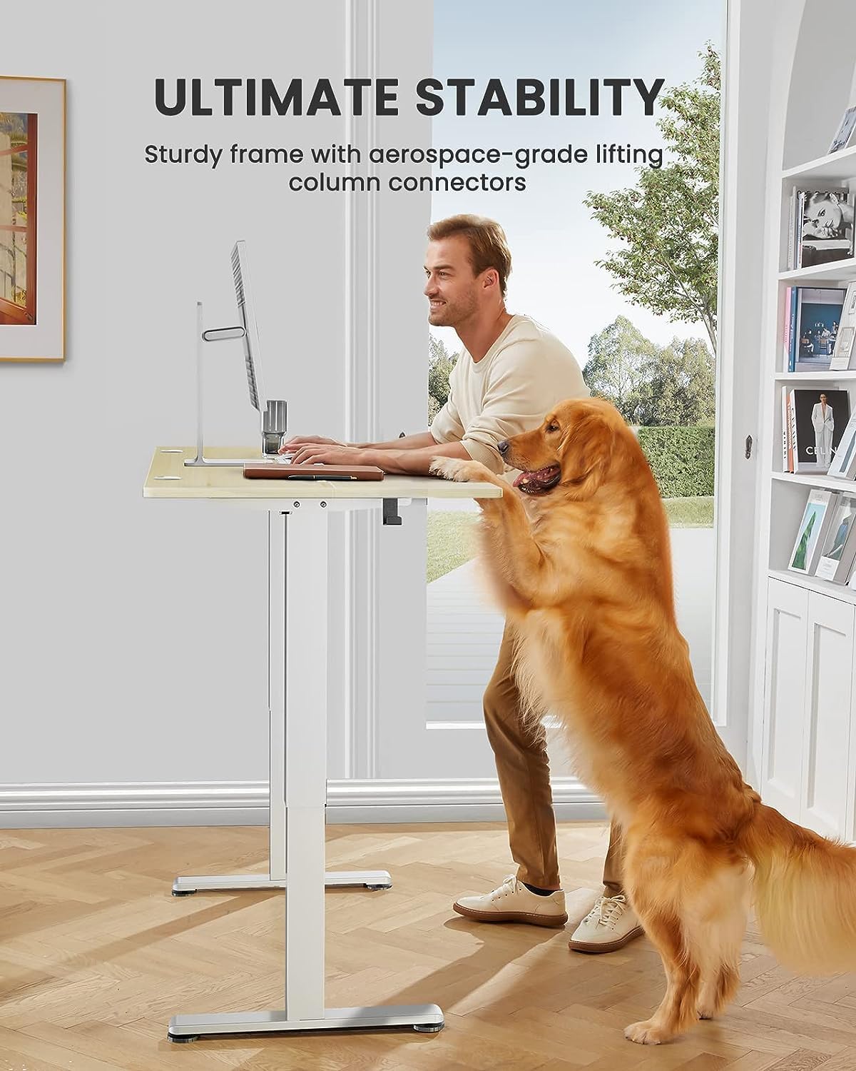 ErGear Height Adjustable Electric Standing Desk, 48 x 24 Inches Sit Stand up Desk, Memory Computer Home Office Desk (Black) ErGear Height Adjustable Electric Standing Desk, 48 x 24 Inches Sit Stand up Desk, Memory Computer Home Office Desk (Black)