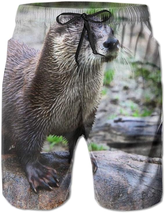 Amazon Co Jp カワウソ 石の上 水着 メンズ 海パン サーフパンツ ビーチパンツ 水陸両用 通気速乾 スイムパンツ 短パン オシャレ 人気 ファッション Amazon Co Jp カワウソ 石の上 水着 メンズ 海パン サーフパンツ ビーチパンツ 水陸両用 通気速乾 スイムパンツ 短パン オシャレ 人気 ファッション