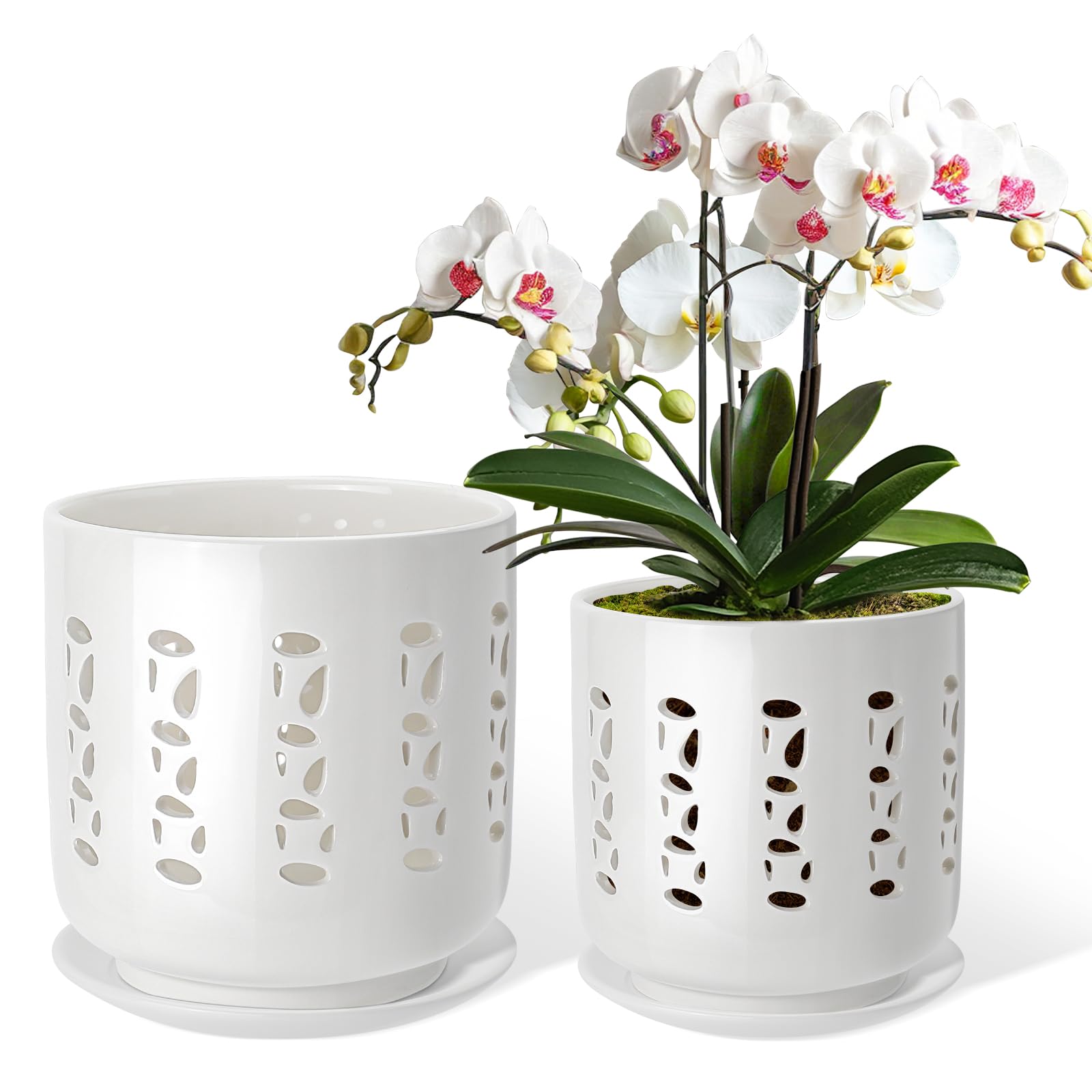 BUYMAX Ceramic Orchid Pots with Holes