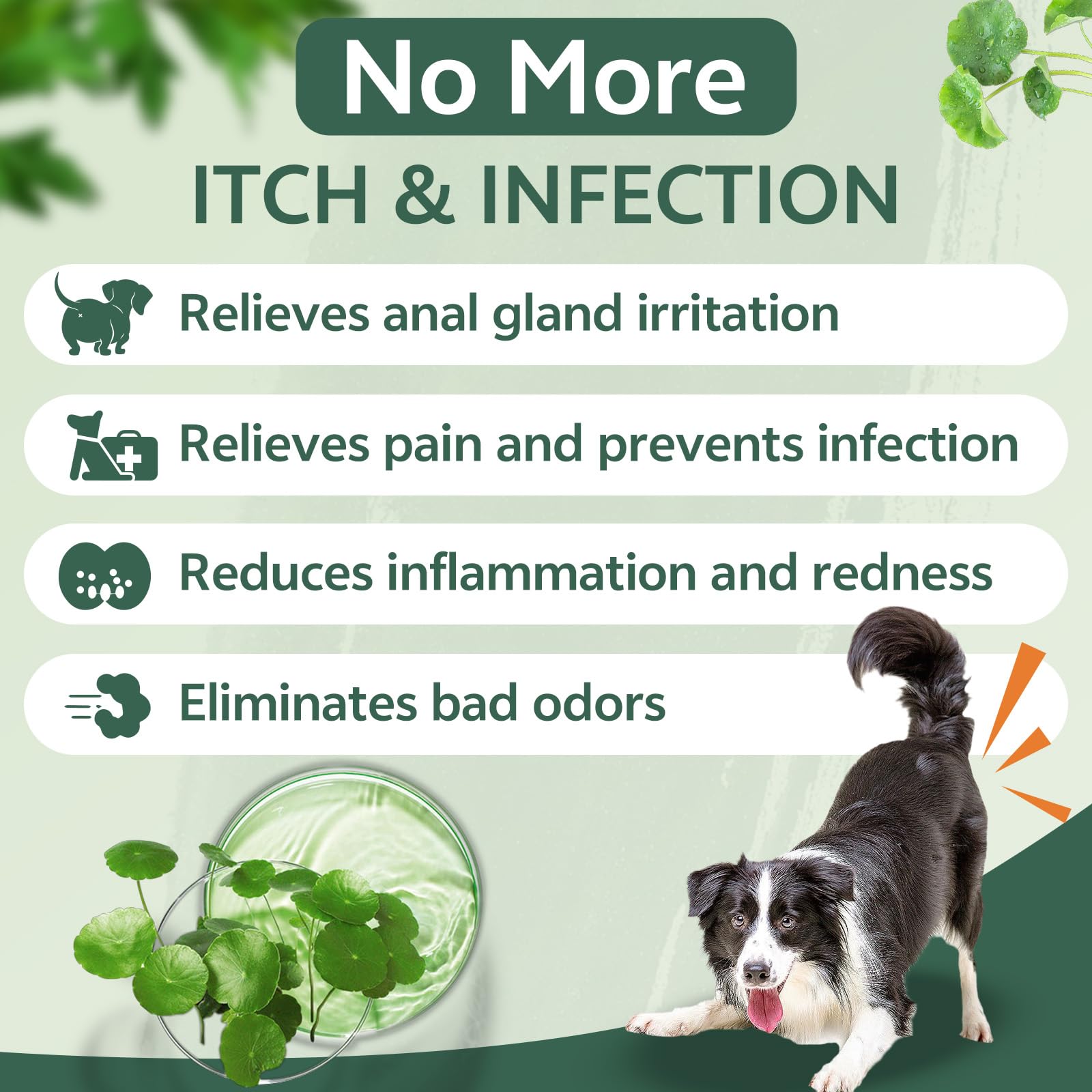 puyrzoe Spray natural para las glándulas anales para todas las mascotas, detiene el patinaje, elimina los olores, el enrojecimiento de las glándulas anales, alivia la picazón, cómodo para las