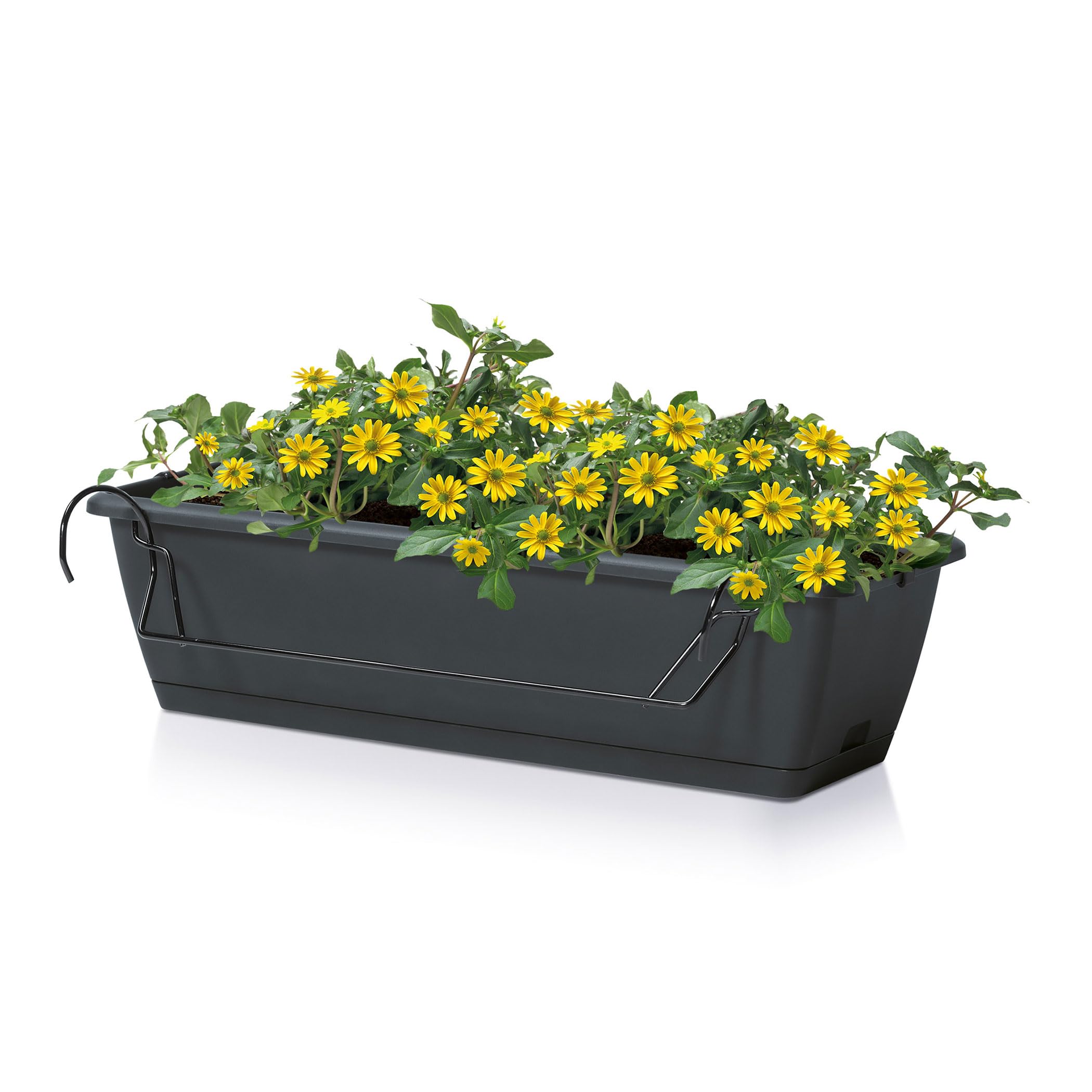 Spetebo Jardinière de balcon avec support et système d'irrigation - 2 pièces de 60 cm - En plastique anthracite - Pot de fleurs à suspendre avec évacuation de l'eau