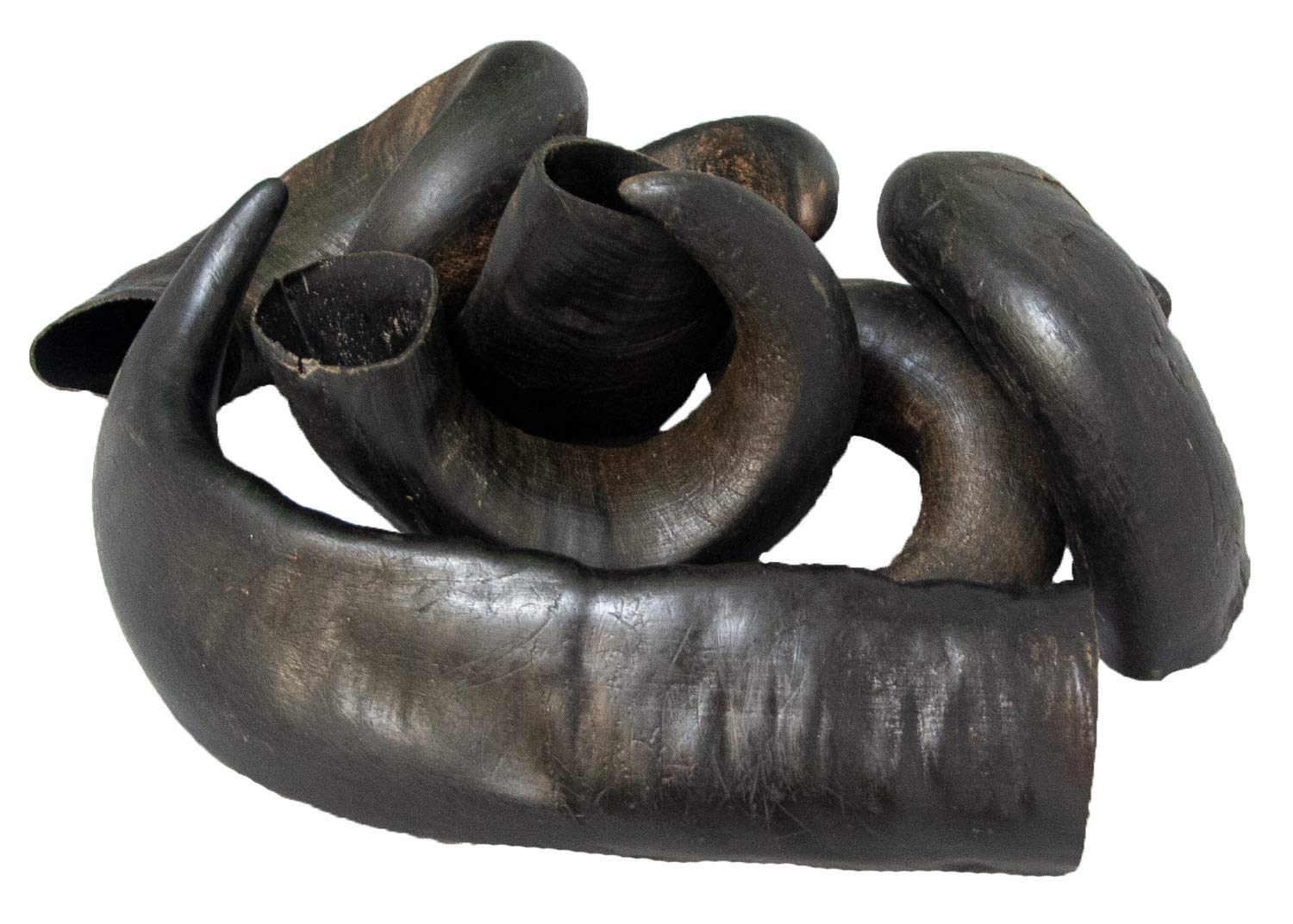 Wild Bites Tasty Natural Dog Treats Buffalo Horn Small