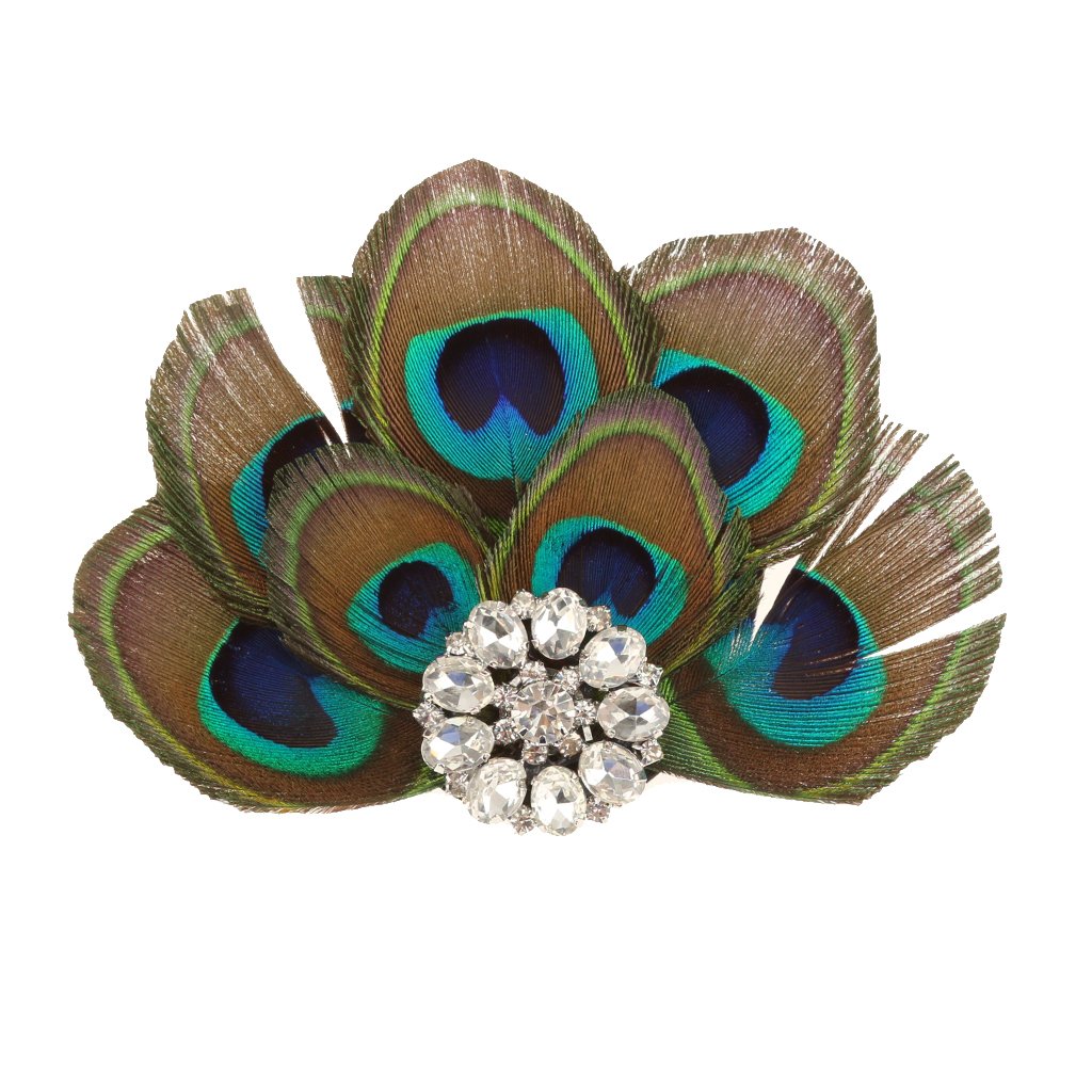 See full amazon price history chart for PopEye Peacock Feather Rhinestone Hairpin Hair Clip Belly Dance Party Wedding Headwear PopEye Peacock Feather Rhinestone Hairpin Hair Clip Belly Dance Party Wedding Headwear (B085DTPKSF) Amazon Price History, Amazon Price Tracker