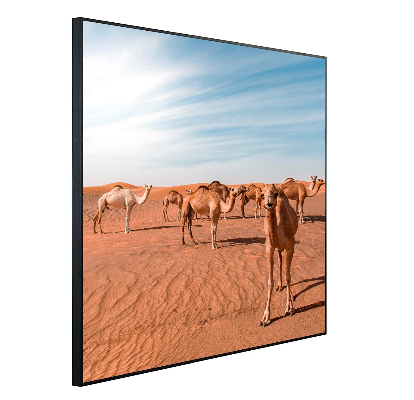 Ecowelle infrared heater with image | 750 watts | 60x100cm | Infrared heating| | Made in Germany