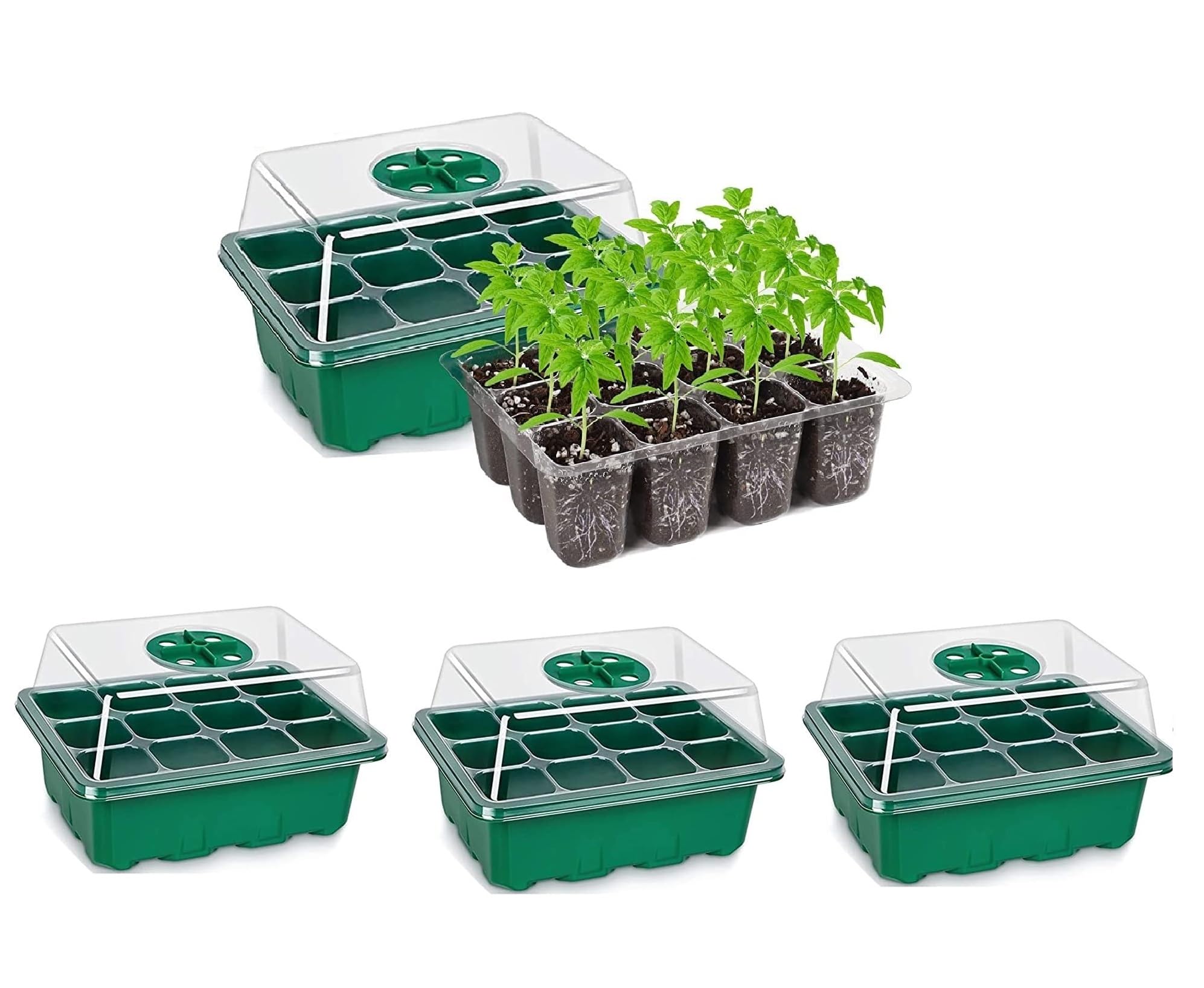 JERN Seed Starter Tray Seedling Starter Kits, Plant Starter Kit with Humidity Domes and Base Indoor Greenhouse Mini Propagator Station for Seeds Growing Starting (12 Cells per Tray) (Pack of 4) (B0CRRG8BJR) Amazon Price History, Amazon Price Tracker