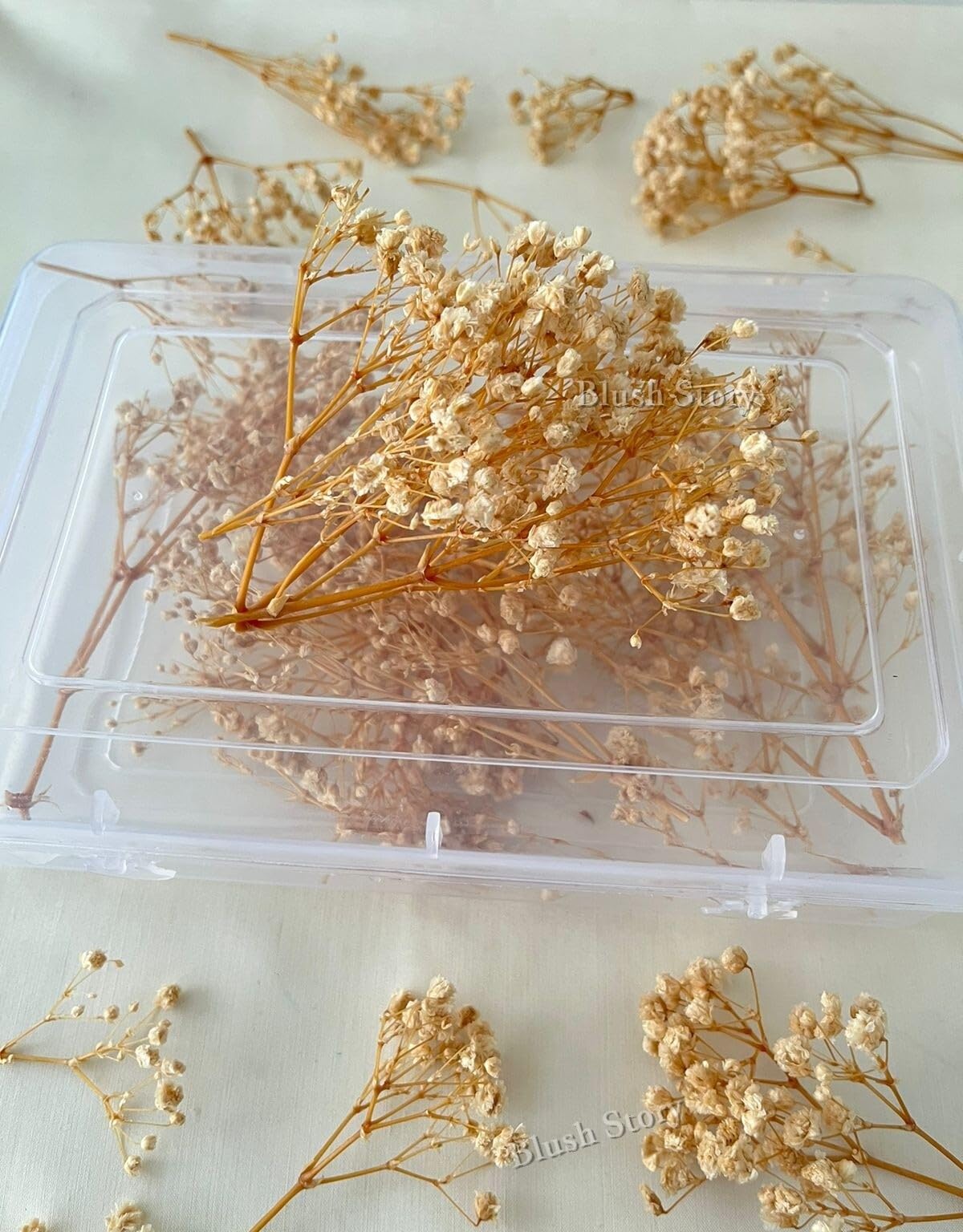 Baby Breath/Gypsy Dried Preserved Flower Sticks – Bridal Hair Accessories for Women, Wedding, Party | Perfect for Art & DIY Craft, Card & Gift Decoration, Photo Props, Resin Art (Cream)