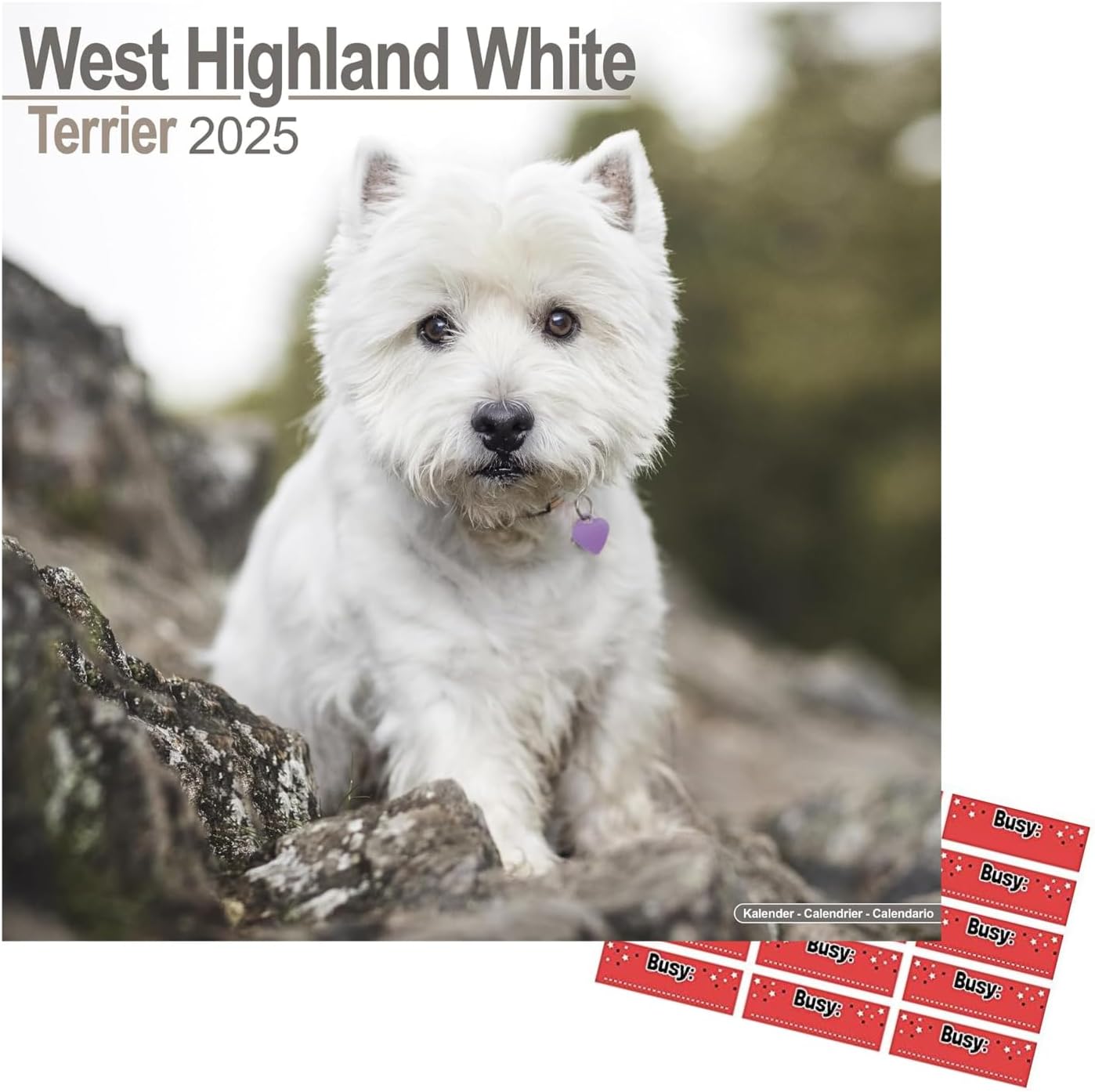 West Highland Terrier Calendar 2024 Square Dog Breed Wall Calendar 16