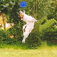 Vista 7 de Juguetes masticables para perros, paquete de 5 para perros medianos a pequeños, diversión y limpieza de dientes