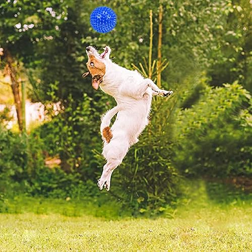 Miniatura 7 de Nlmskzzy Juguete de cuerda para perros, juguetes para perros, paquete de 20 unidades para diversión y limpieza de dientes, juguetes de cuerda para