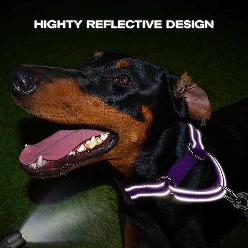 Miniatura 5 de Joytale Collar Martingale para perros, reflectante resistente para mayor seguridad, hebilla de liberación rápida, collares de nailon ajustables para